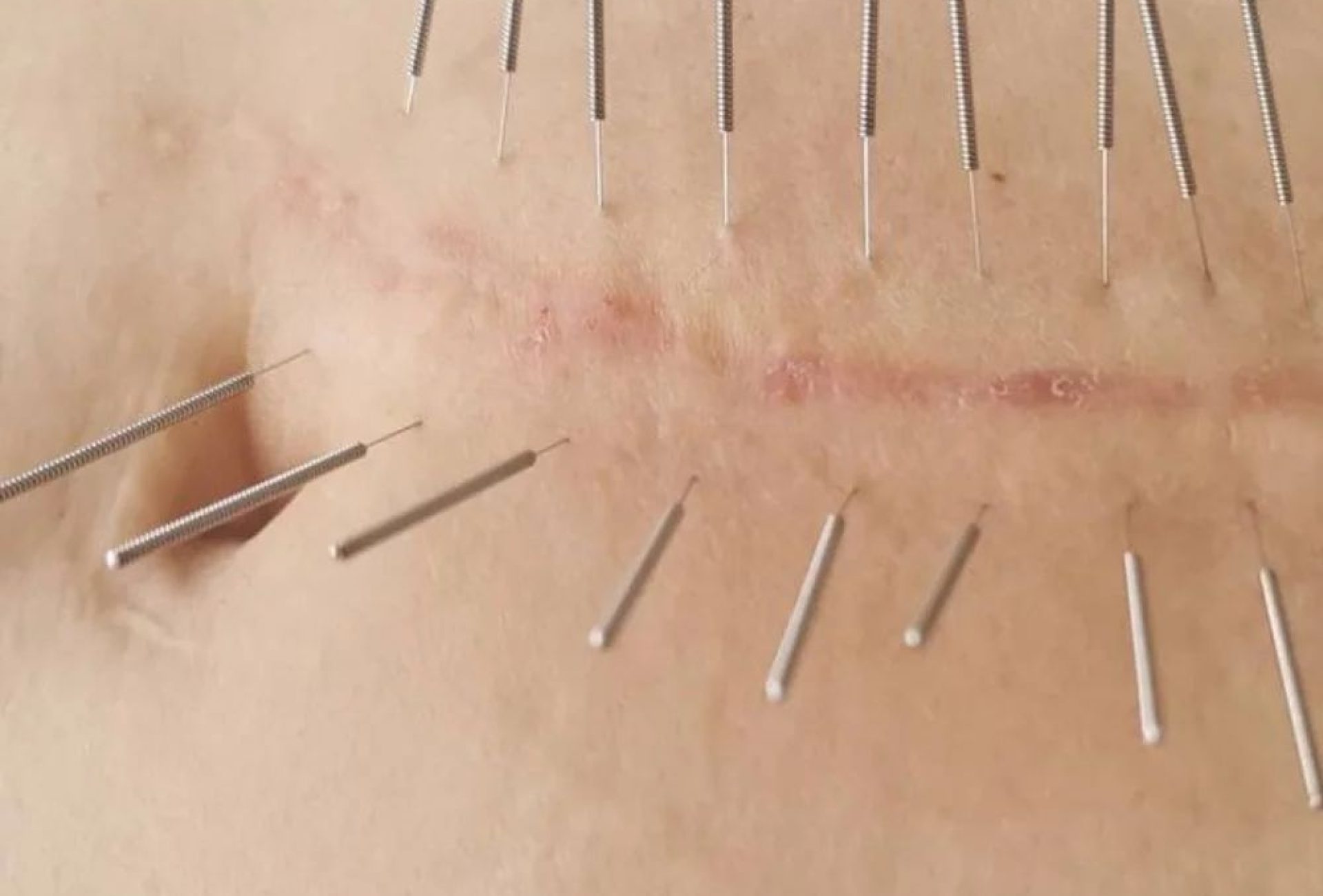 WhatsApp Image 2026-02-15 at 19.26.35